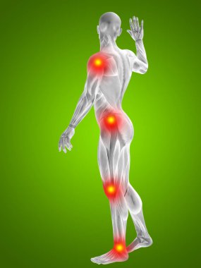 insan vücudu anatomisi gösteren resim