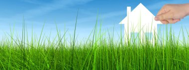  Mavi gökyüzü ile yeşil çimen