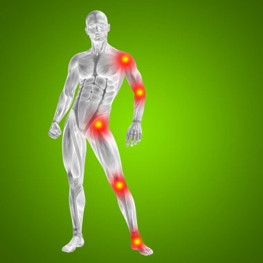 insan vücudu anatomisi gösteren resim