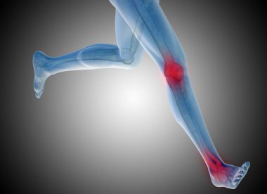 insan vücudu anatomisi gösteren resim