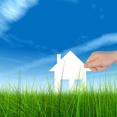  Mavi gökyüzü ile yeşil çimen