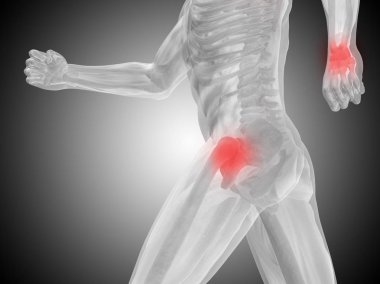 insan anatomisini gösteren resim