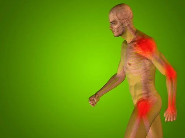 Ilustración de la anatomía del cuerpo humano — Foto de Stock