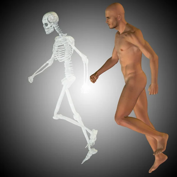 Illustration of human anatomy — Stock Photo, Image