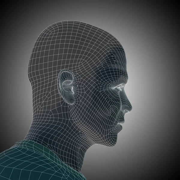 Drátěný model lidská hlava — Stock fotografie