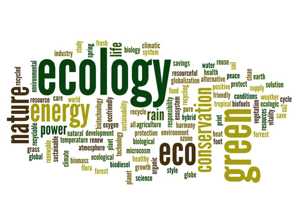 Ecologie tekst woord wolk — Stockfoto