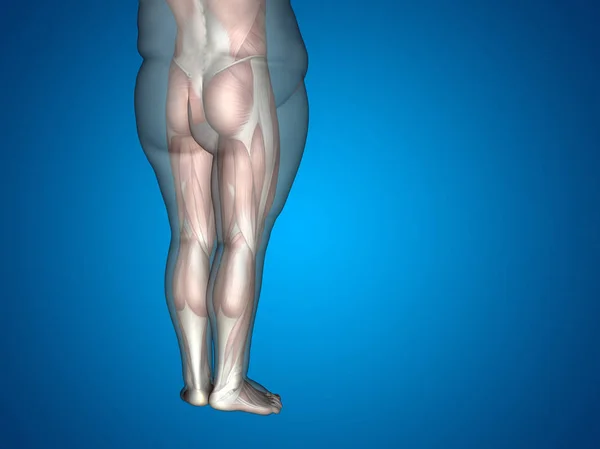 Иллюстрация избыточного веса человеческого тела — стоковое фото