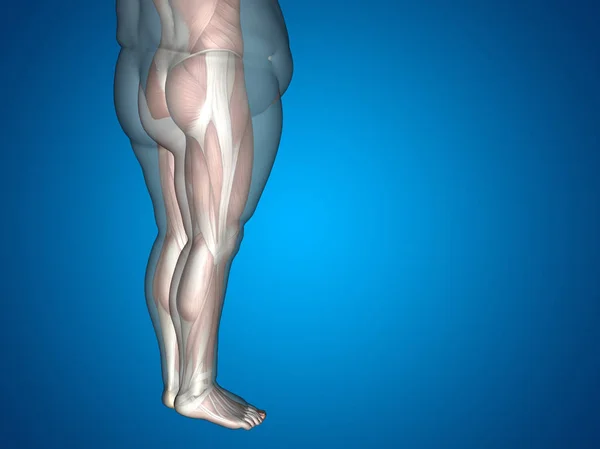 Ilustração do corpo humano com sobrepeso — Fotografia de Stock