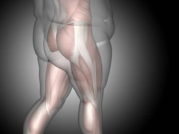 Ілюстрація надмірної ваги людського тіла — стокове фото