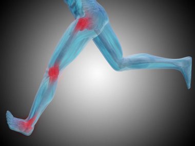 insan anatomisini gösteren resim