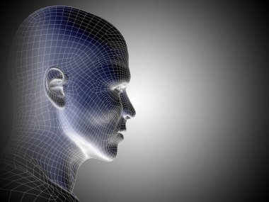 Tel kafes insan kafası