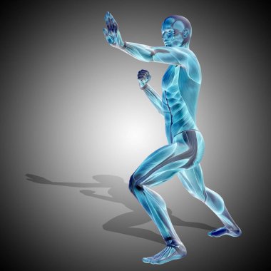 insan vücudu anatomisi gösteren resim