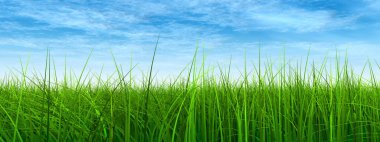  green grass with blue sky clipart