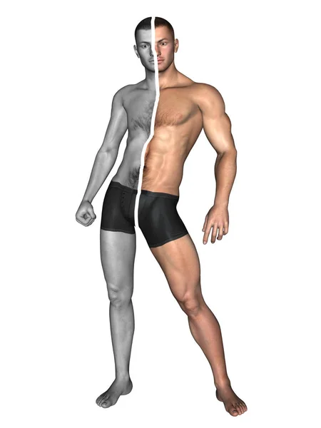 Illustration av stark människokroppen — Stockfoto