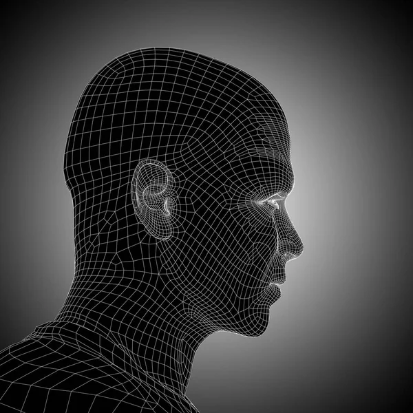 와이어 프레임 인간의 머리 — 스톡 사진