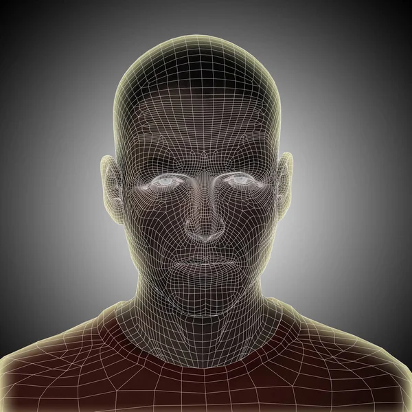 Ανθρώπινο κεφάλι περίγραμμα επιφάνειας — Φωτογραφία Αρχείου