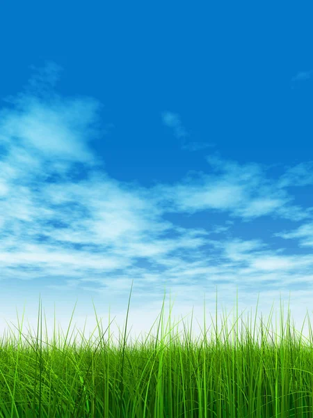 Hierba verde con cielo azul — Foto de Stock