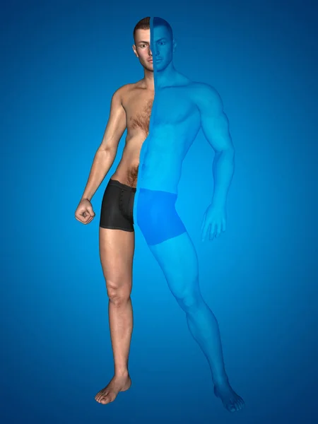 Ilustración del cuerpo humano fuerte — Foto de Stock