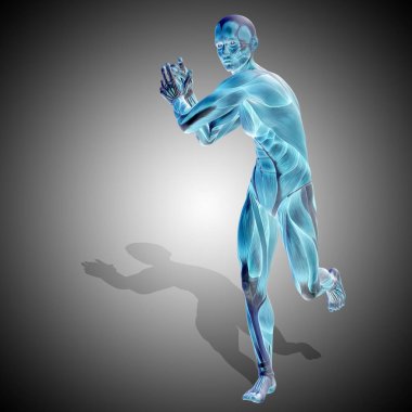 insan anatomisini gösteren resim