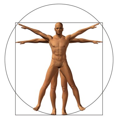 insan vücudu anatomisi gösteren resim