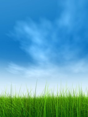  Mavi gökyüzü ile yeşil çimen