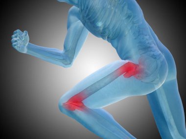 insan vücudu anatomisi gösteren resim