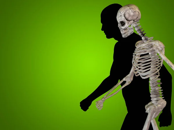 Insan vücudu anatomisi gösteren resim — Stok fotoğraf