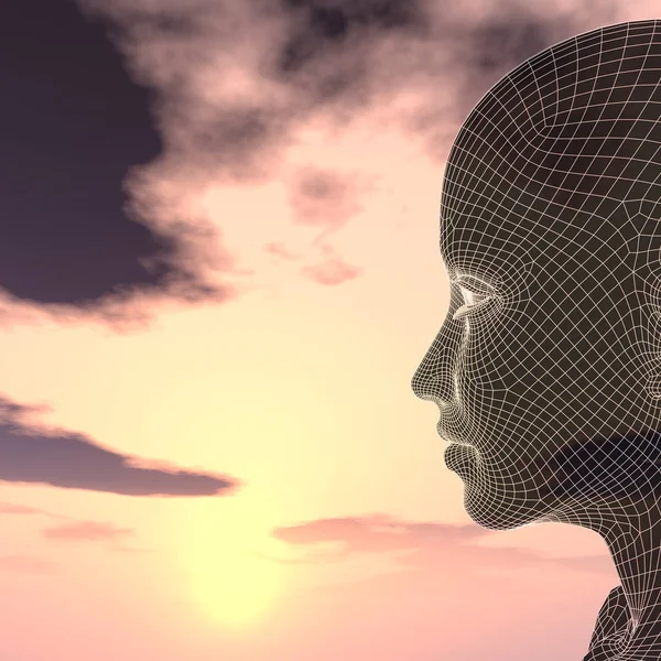 Tel kafes kadın baş