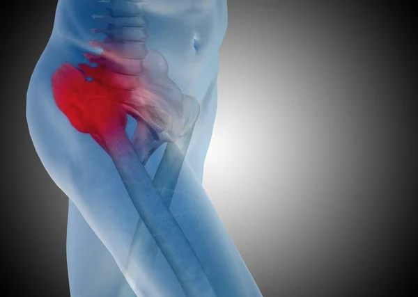 insan vücudu anatomisi gösteren resim