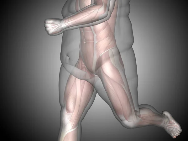 Túlsúlyos emberi test illusztrációja — Stock Fotó
