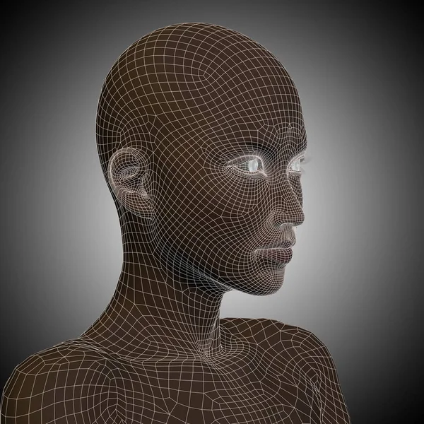 wireframe female head