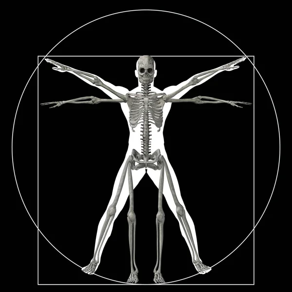 Illustratie van menselijk lichaam anatomie — Stockfoto