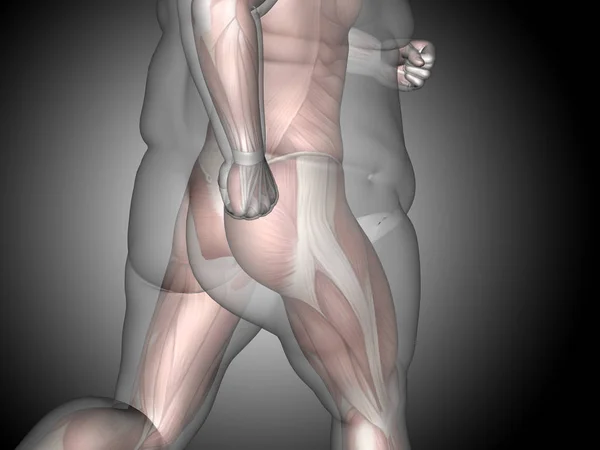 Illustration av överviktiga människokroppen — Stockfoto