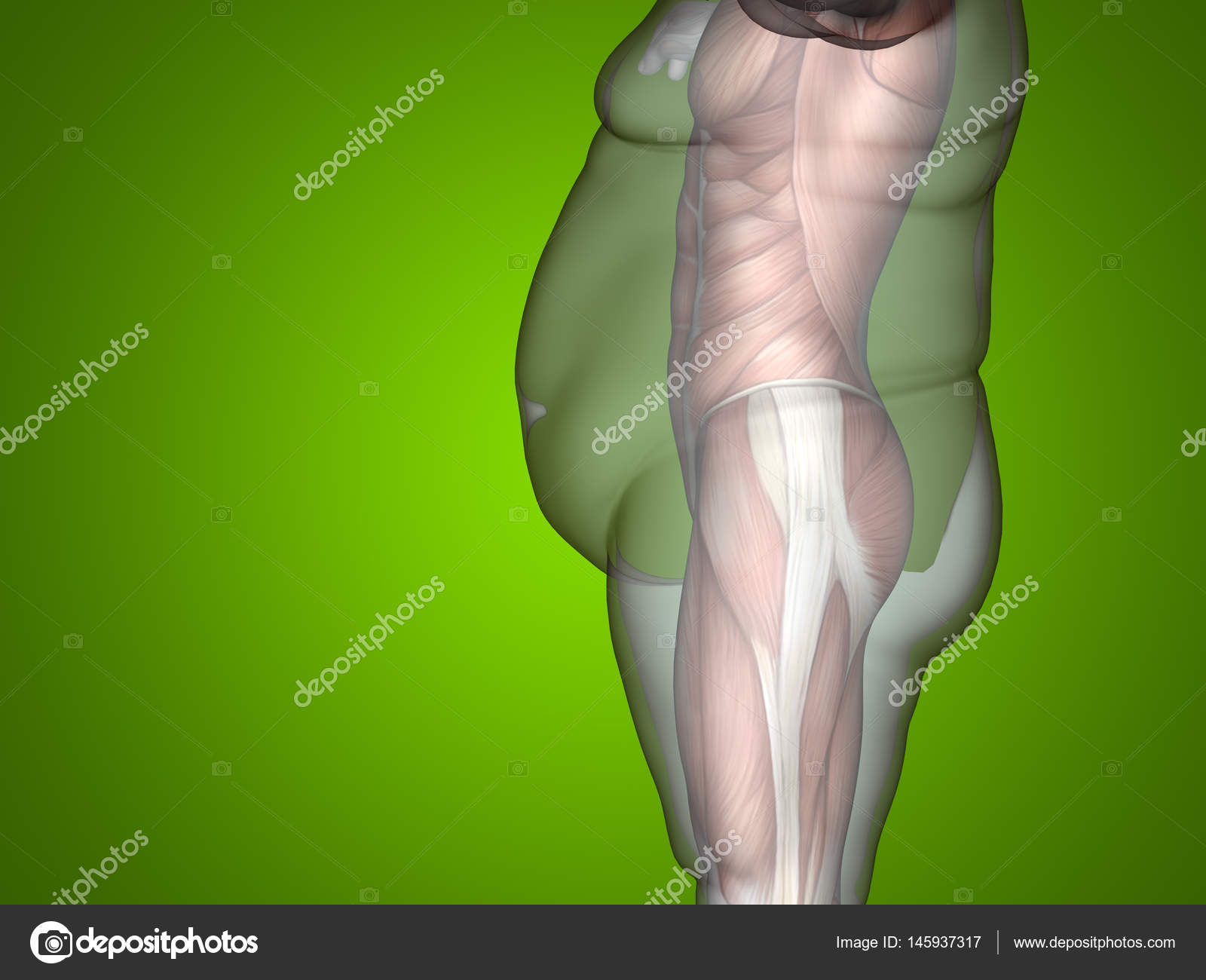 3D Fett Übergewicht vs. schlank fit Diät — Stockfoto 3D Fett Übergewicht vs. schlank fit Diät — Stockfoto