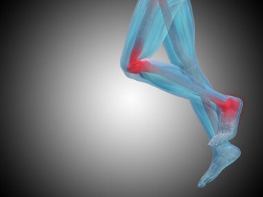 Kavramsal 3d illüstrasyon insan anatomisi