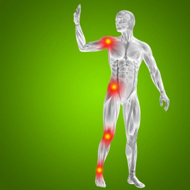 İnsan anatomisi kavramı