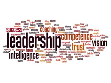 kavram ya da kavramsal iş liderlik