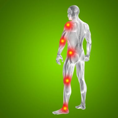 İnsan anatomisi kavramı