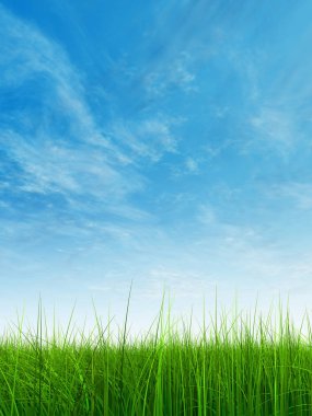  Taze ve doğal çim sahası  