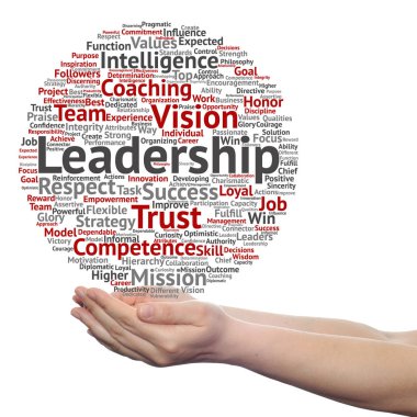 kavram ya da kavramsal iş liderlik