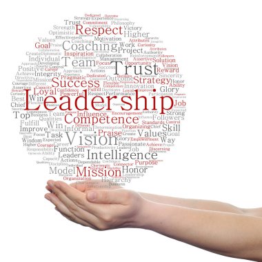 kavram ya da kavramsal iş liderlik