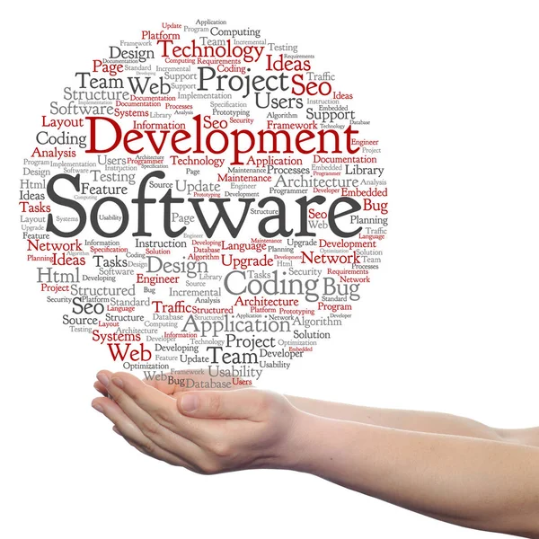 Conceptual cloud of software development