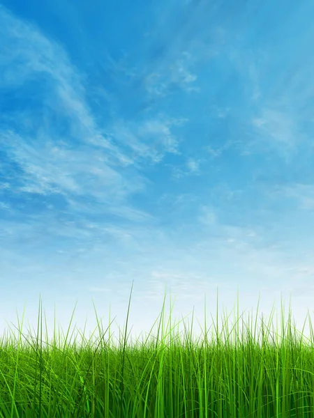 Fresh and natural grass field — Stock Photo, Image
