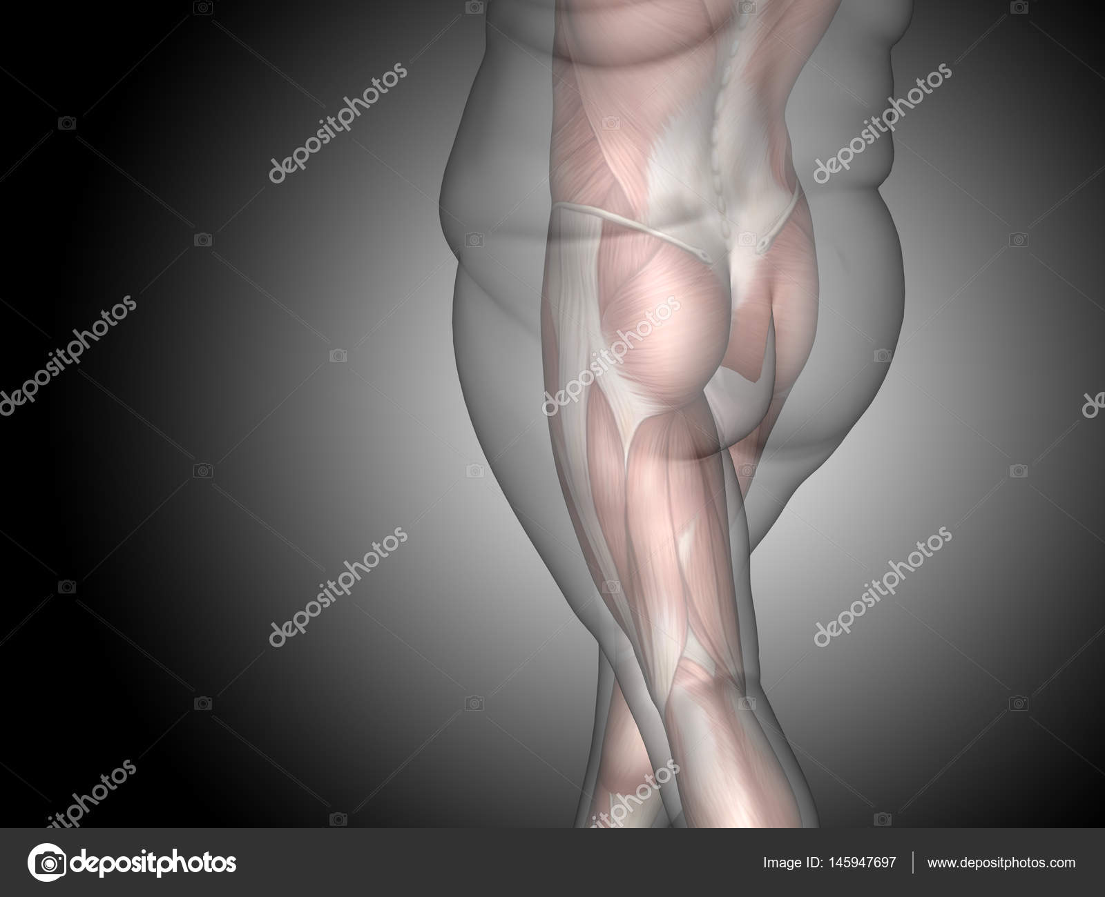 3d Fett Übergewicht vs slim fit Diät — Stockfoto © design36 3d Fett Übergewicht vs slim fit Diät — Stockfoto © design36