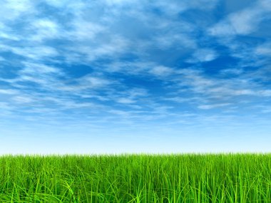  Taze ve doğal çim sahası  