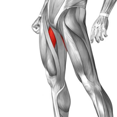 Anatomik kavramı 3d çizim 