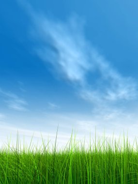  Taze ve doğal çim sahası  