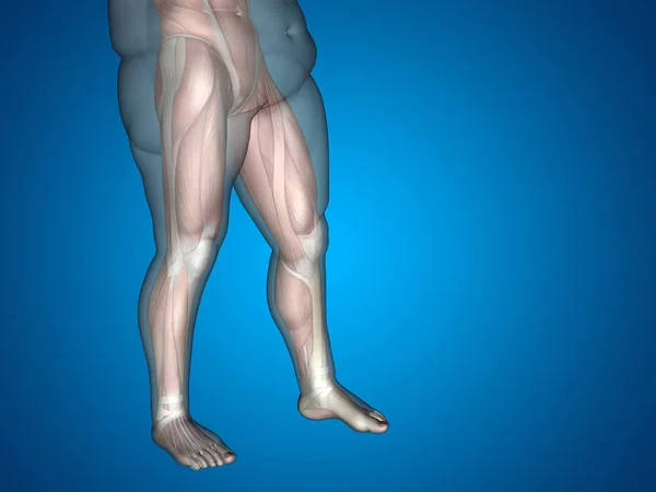 3D-s kövér túlsúlyos vs slim fit-diéta — Stock Fotó