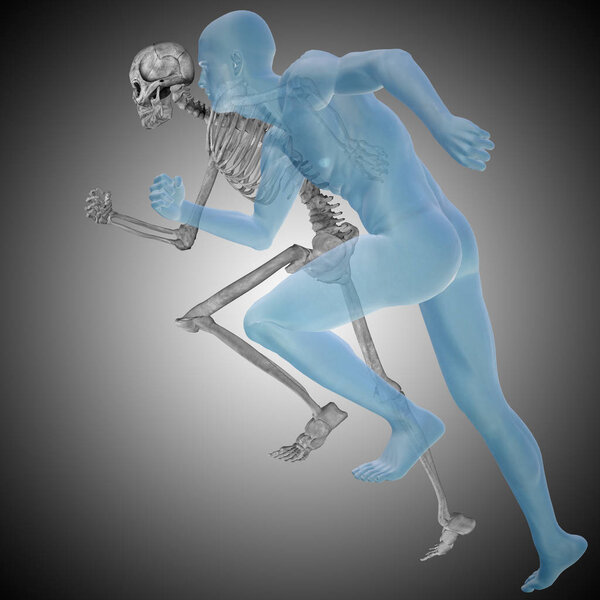 Conceptual 3D illustration of human anatomy model