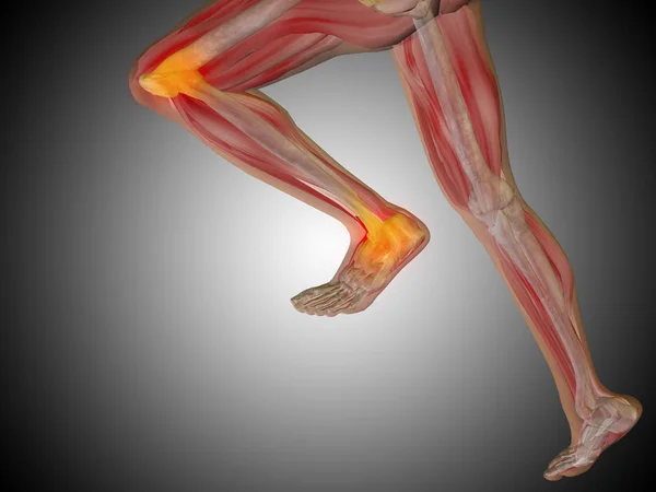 Human muscles with articular or bones pain — Stock Photo, Image